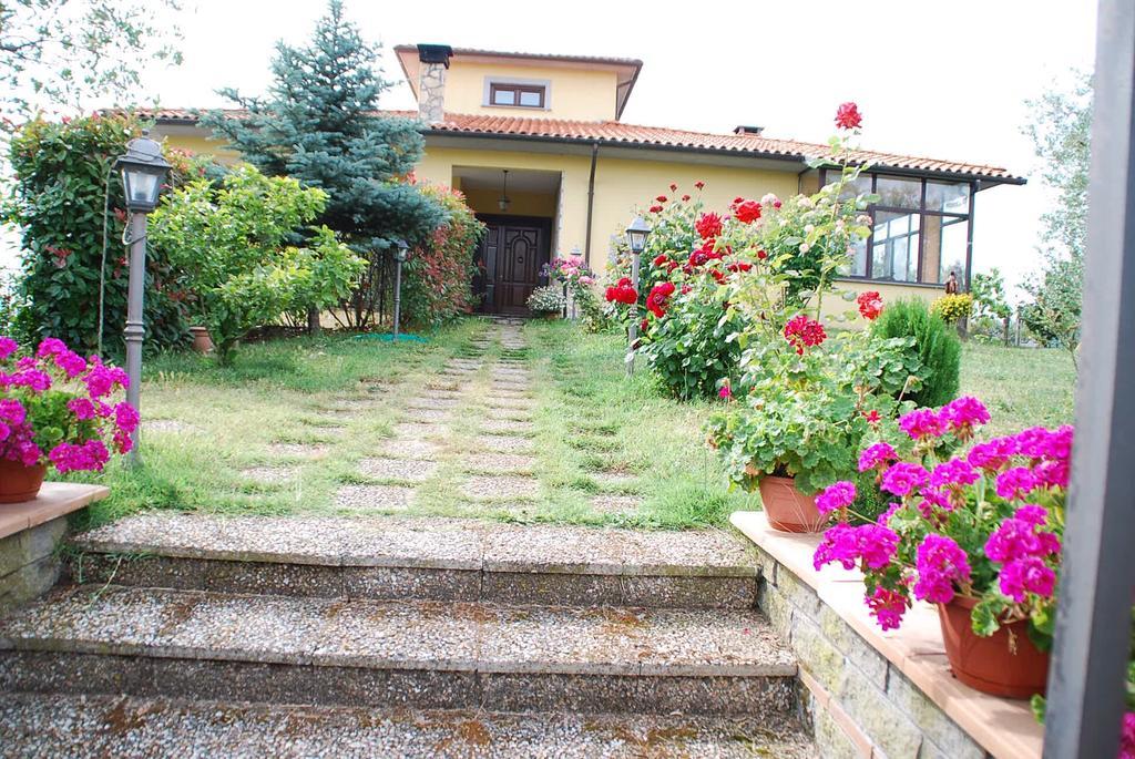 B&B L'Amicizia Montefiascone Exterior foto